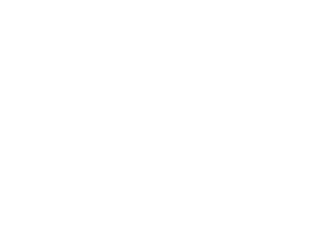 19%