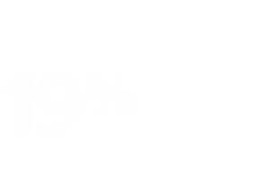 19%